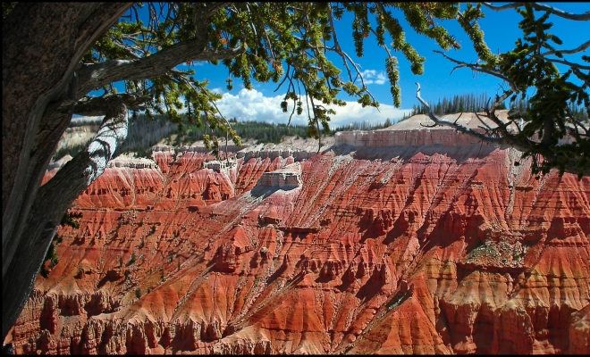 Cedar Breaks National Monument, Utah - USA